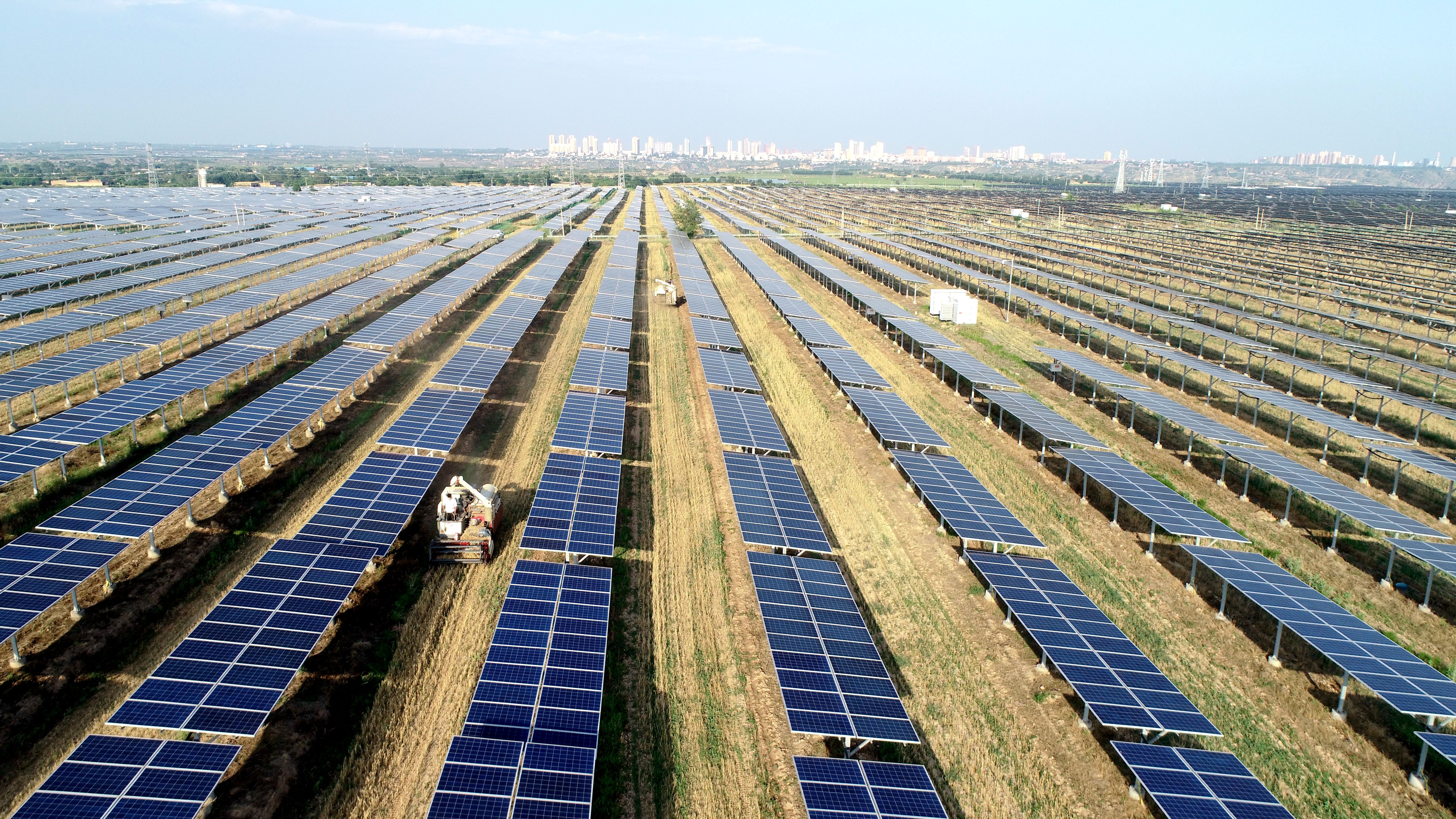 2.大唐澄城安里10萬(wàn)千瓦農(nóng)光互補(bǔ)光伏電站采取“農(nóng)光互補(bǔ)”模式，不僅大大提高土地綜合利用率，還帶動(dòng)當(dāng)?shù)卮迕裨诩议T(mén)口就業(yè)，促進(jìn)農(nóng)民增收。任永紅攝 .jpg