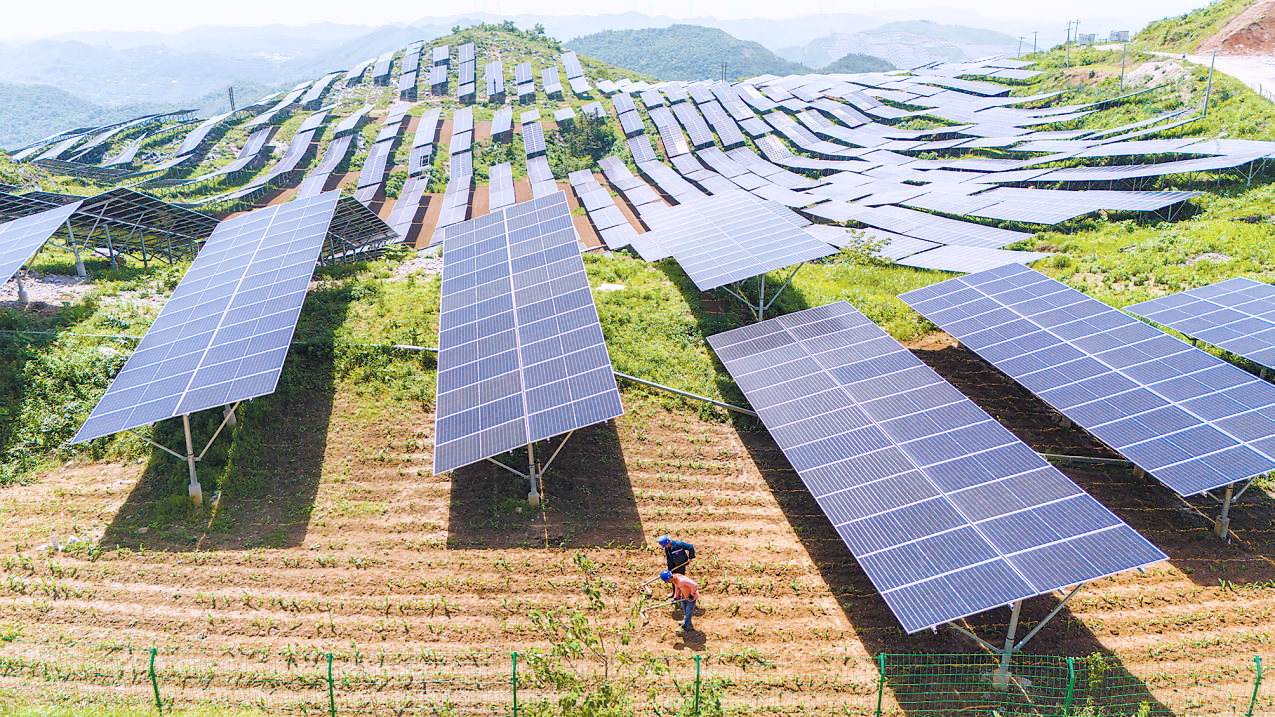 1715940988614011577.jpg 婁底光伏.jpg